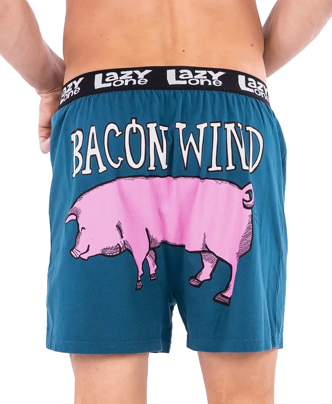 Bamboo men's socks for natural antibacterial propertiesBacon Wind Boxer