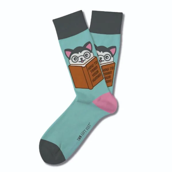 Organic men's socks for an eco - friendly choiceHow to Train Your Human