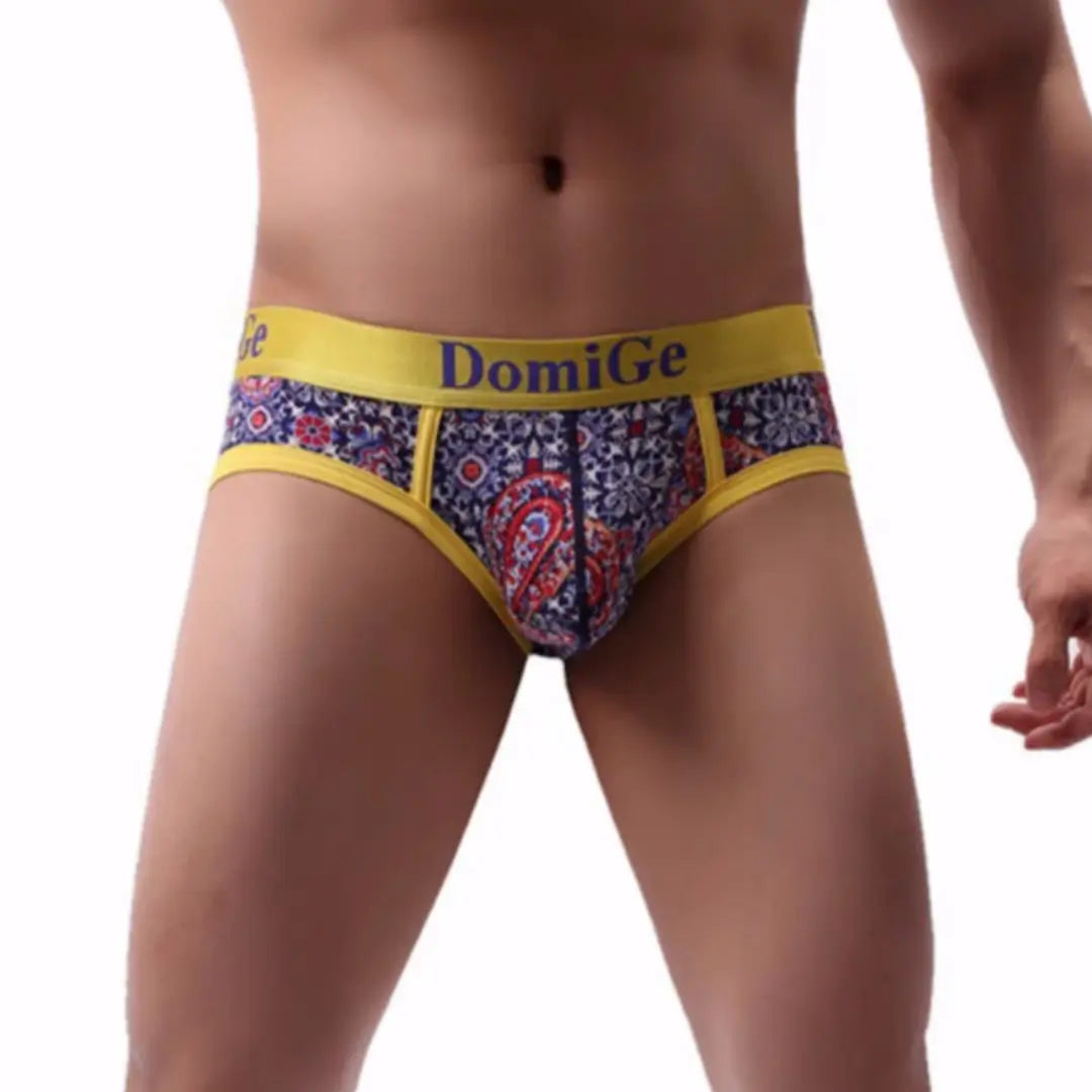 Silky men's briefs for a luxurious feelDomiGe Men's Underwear, Red Paisley Print Briefs for Men Silky men's briefs for a luxurious feelDomiGe Men's Underwear, Red Paisley Print Briefs for Men