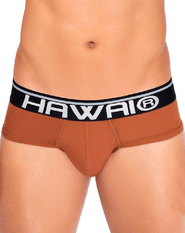 Men's briefs with a supportive pouch designHawai 42191 Solid Microfiber Hip Briefs Amber