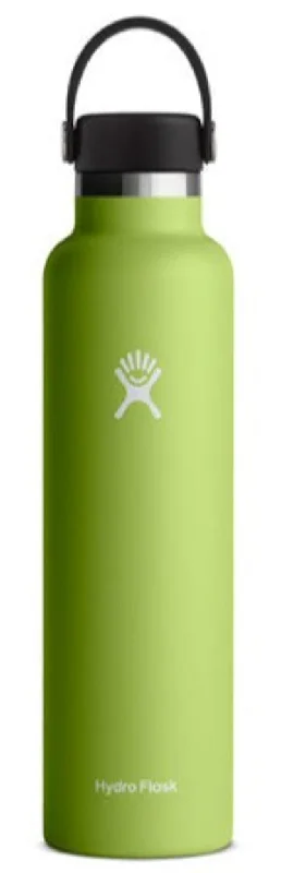 Seagrass