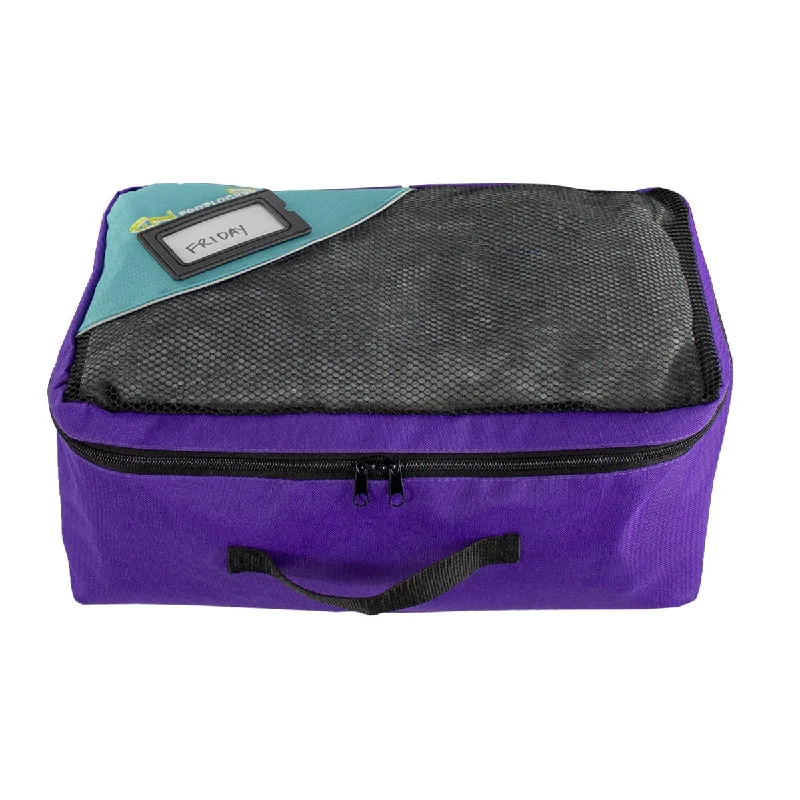 Purple/Teal