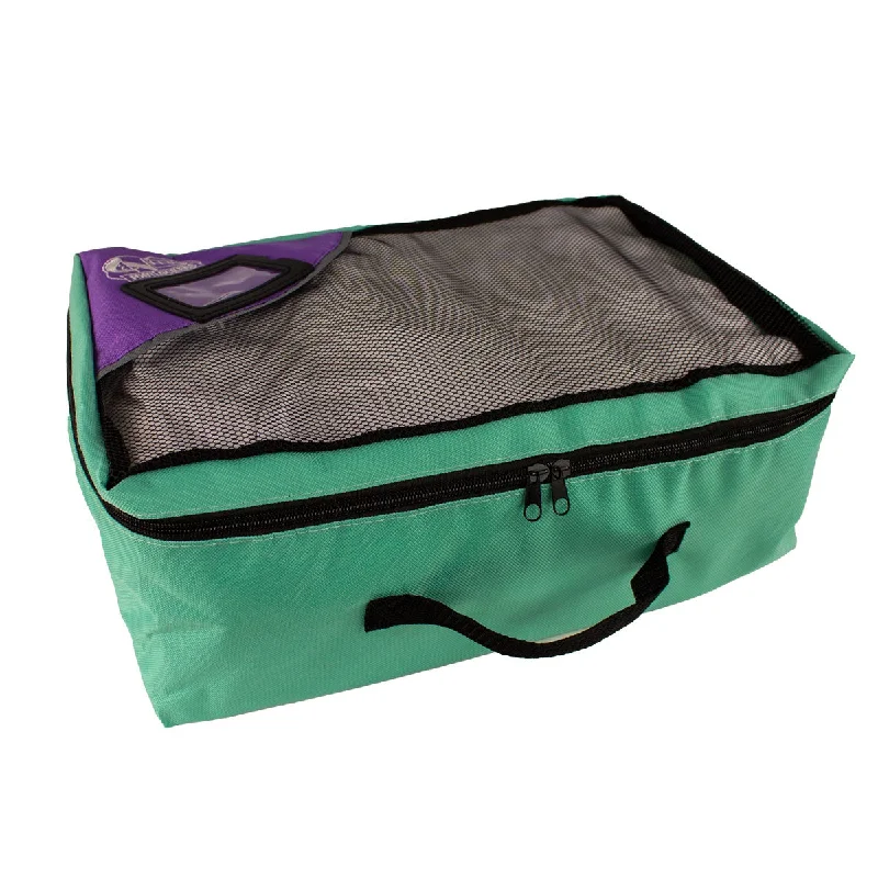 Mint/Purple